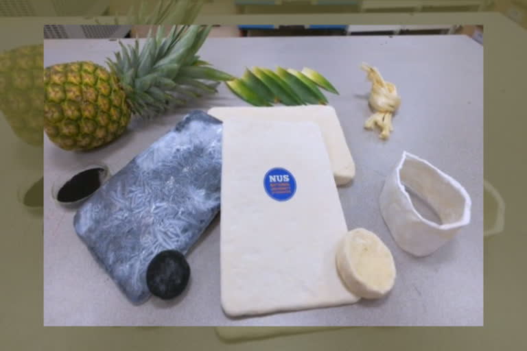 Eco-aerogels , Eco-aerogels from pineapple leaves