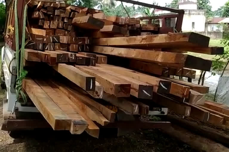 kmrup chagaon illegal timber seized