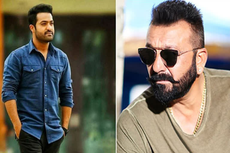 NTR-Trivikram film update