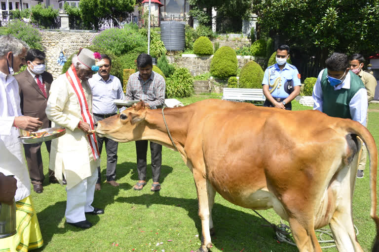 shimla