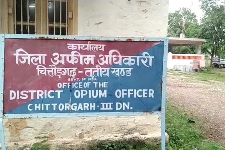 Opium license issued on dead woman, मृत महिला के नाम जारी अफीम लाइसेंस