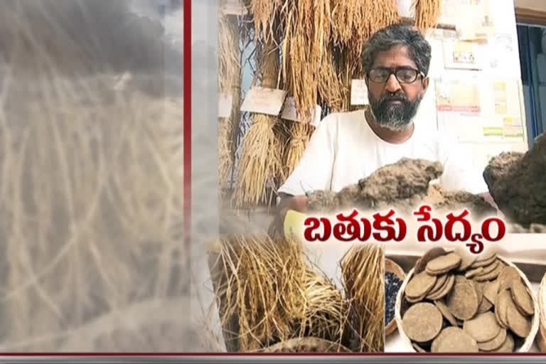 ETV BHARAT INTERVIEW With Nature lover Vijayram