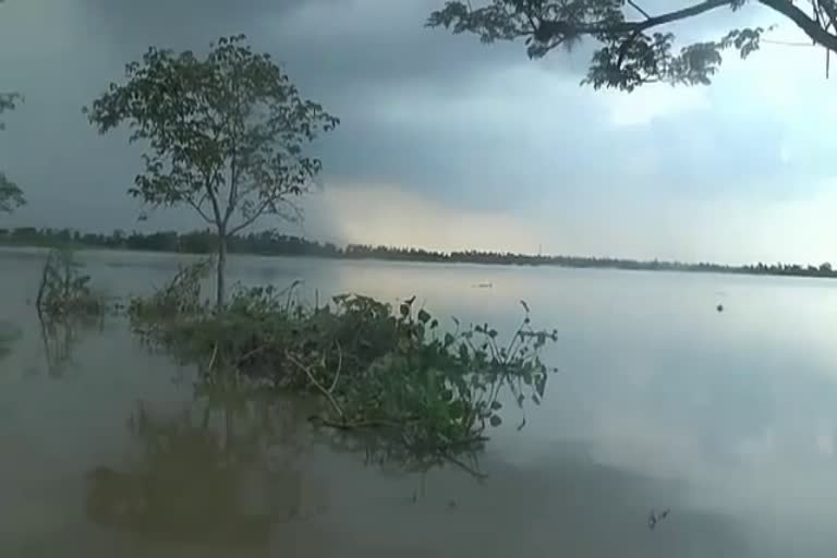 puri latest news, situation review after flood in puri, puri district administration, flood situation review in puri, ପୁରୀ ଲାଟେଷ୍ଟ ନ୍ୟୁଜ୍‌, ପୁରୀରେ ବନ୍ୟ ପରବର୍ତ୍ତୀ ସ୍ଥିତି ସମୀକ୍ଷା, ପୁରୀ ଜିଲ୍ଲା ପ୍ରଶାସନ, ପୁରୀରେ ବନ୍ୟା ସ୍ଥିତି ସମୀକ୍ଷା