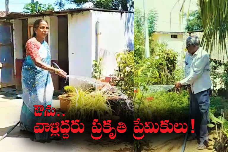 Man Running Nursery In Warangal Rural District Since 30 Years