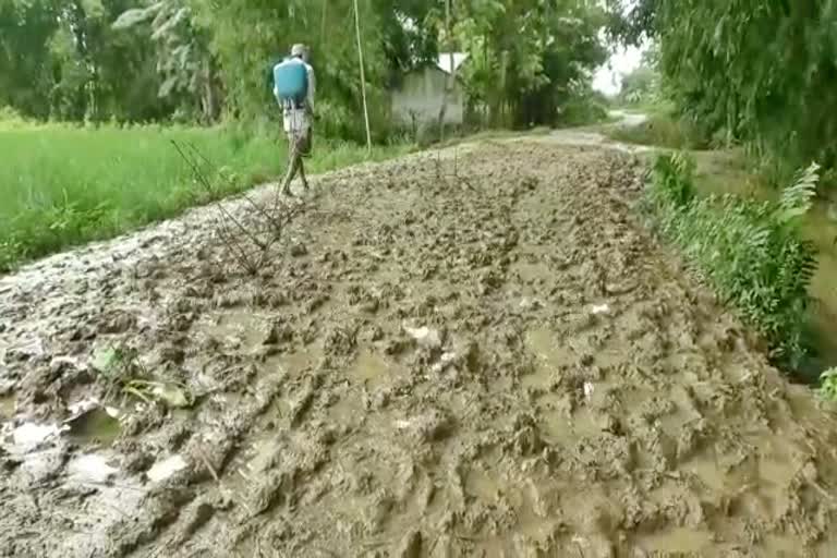 Poor condition of a road at tingkhong dibrugarh assam etv bharat news