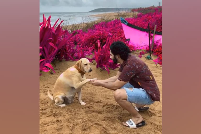 Adorable! Varun Dhawan shares boomerang with furry friend