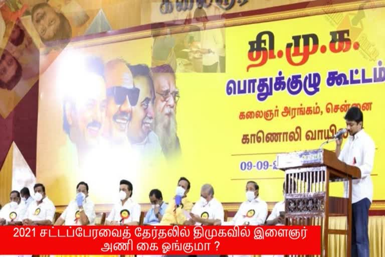 திமுக இளைஞரணி  திமுக பொதுக்குழுக்கூட்டம்  dmk youthwing  udhayanidhi stalin