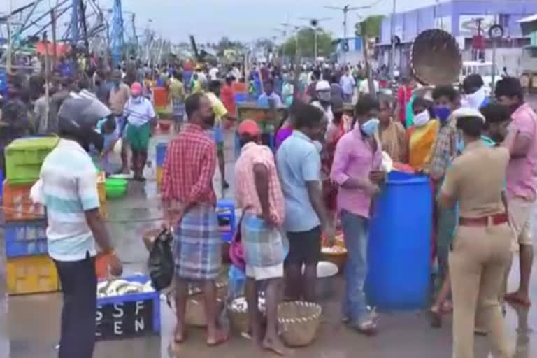 kasimedu-fish-market