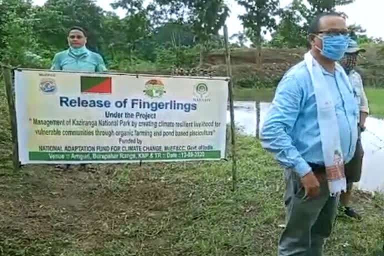 Kaziranga National Park Eco Development Management new project