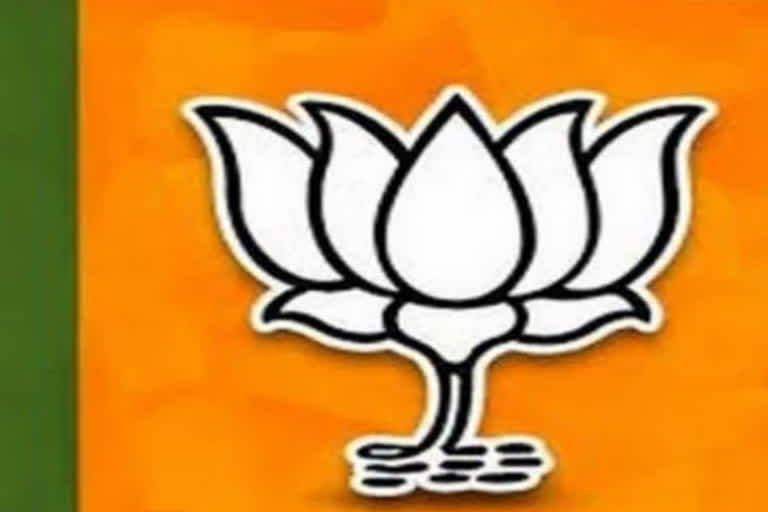 bjp state committee  andhra pradesh