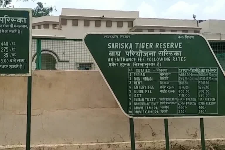 सरिस्का में नए रूटों पर सफारी होगी शुरु, Safari will start on new routes in Sariska