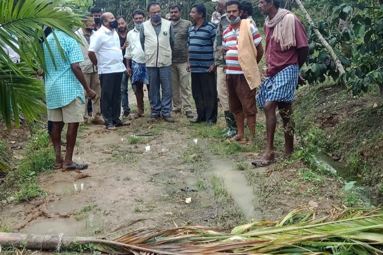 Government should seek immediate solution to the forest Elephant problem: MLA HK Kumaraswamy