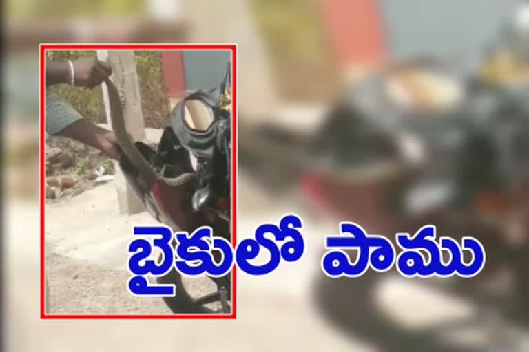 snake enter into bike in karimnagar brindhavan colony