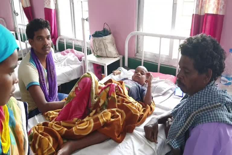 incidence-of-snakebite-increases-in-rural-areas-of-gharghoda