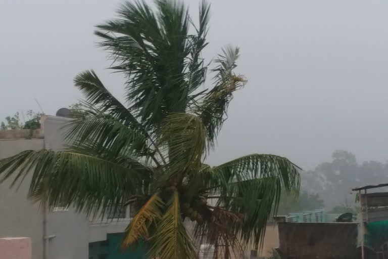 Heavy rains in the capital after several days