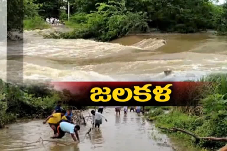 heavy-rains-in-telangana-