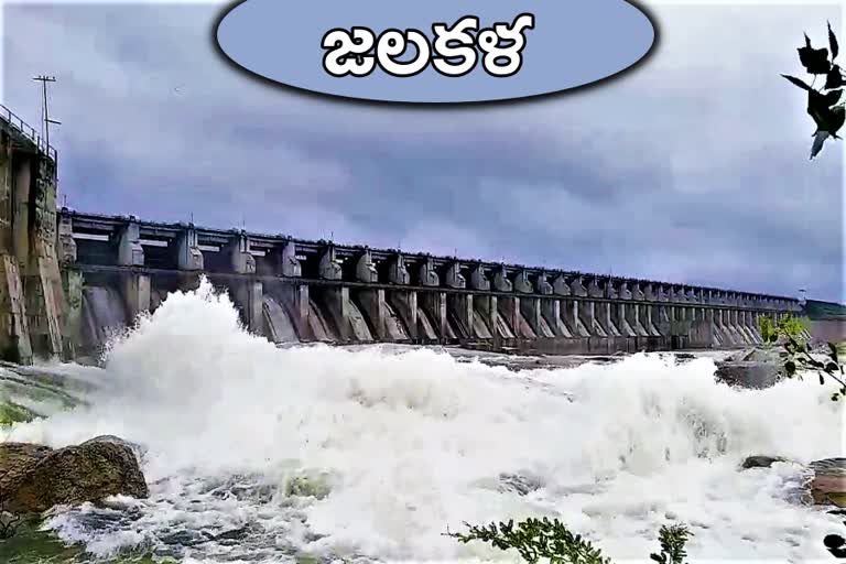 sriram-sagar-project-filled-with-water-at-nizamabad-district