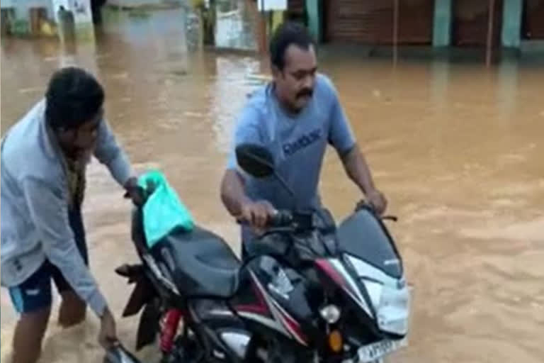 చింతలపూడి నియోజకవర్గంలో విస్తారంగా వర్షాలు