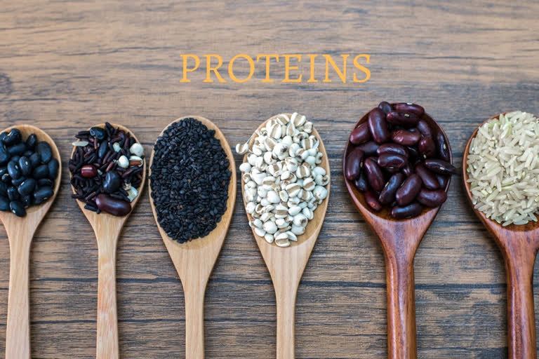 protein, protein diet, protein rich food
