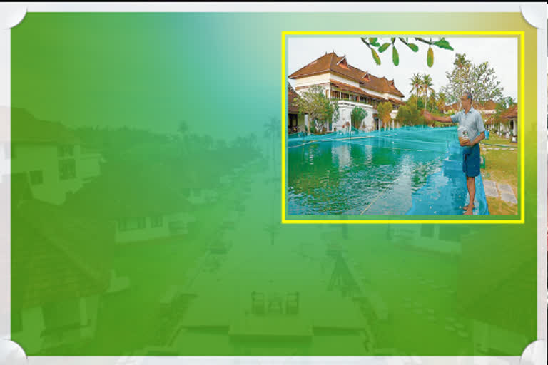 aveda resorts in kerala forming fishes in swimming pool