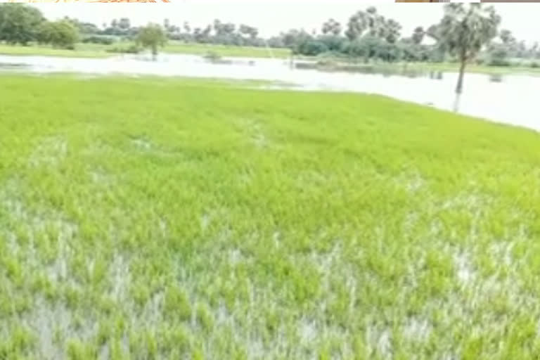 heavy rains in nalgonda district from last 2 days