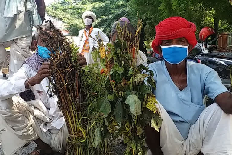 crop of farmers spoiled, Protest of farmers