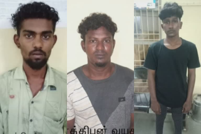 sunami residence crime  chennai news  puthu vannarapettai news