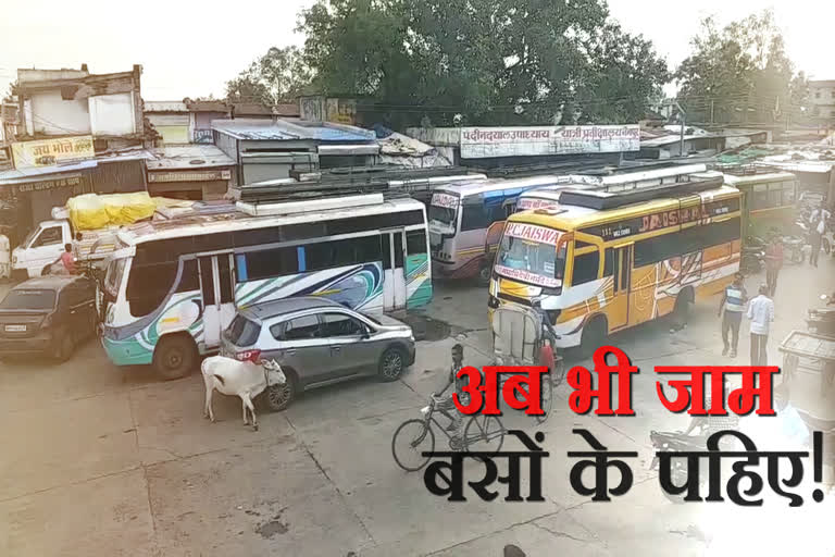 Buses parked at bus stand