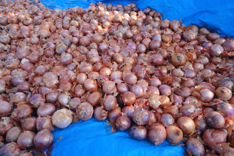 Govt bans export of onions