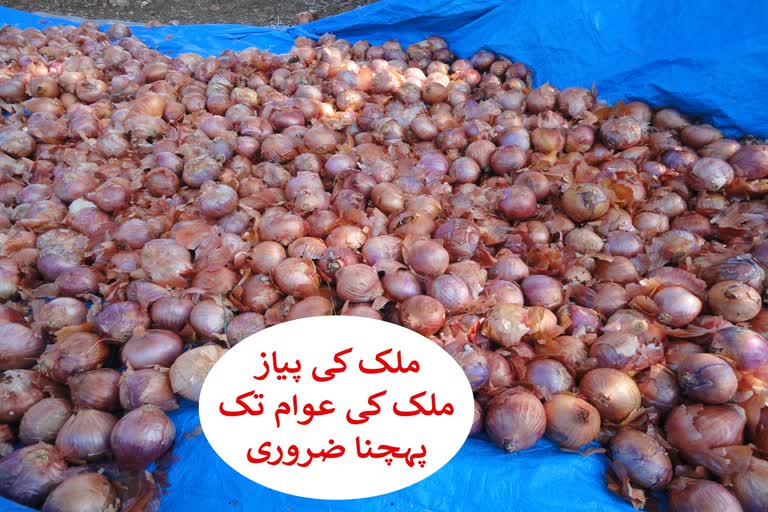 govt bans export of onions with immediate effect