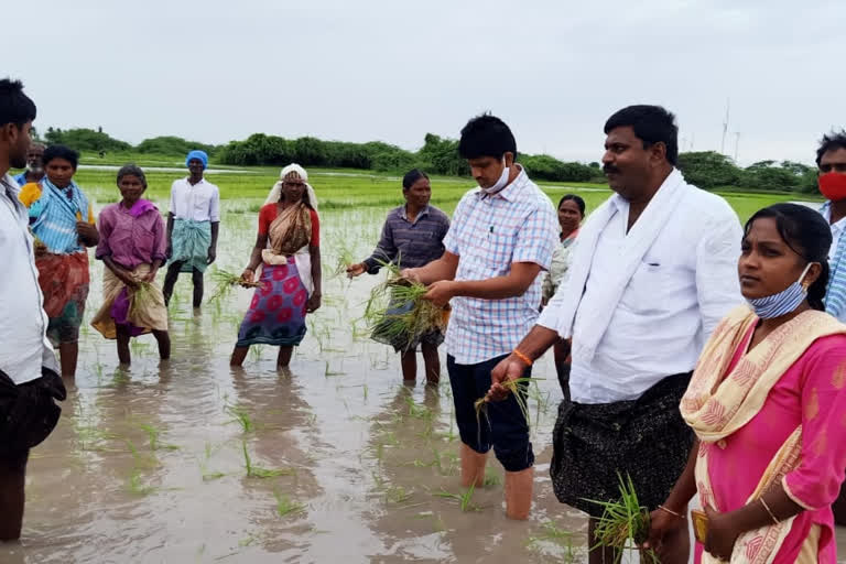 Farms submerged due to heavy rains-inspected agriculture officials