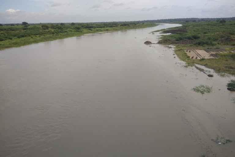 heavy flow in manjeera river in sangareddy district