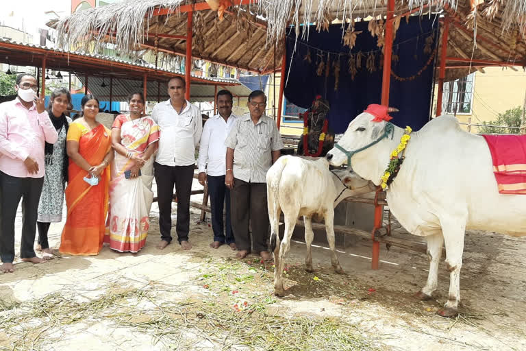 'గోవులను పూజిద్దాం- గోవులను రక్షించుకుందాం'