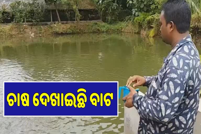 ନର୍ସିଂରୁ ଅଢେଇ ଏକର ଜମିରେ ମାଛ ଓ କୁକୁଡ଼ା ଚାଷ