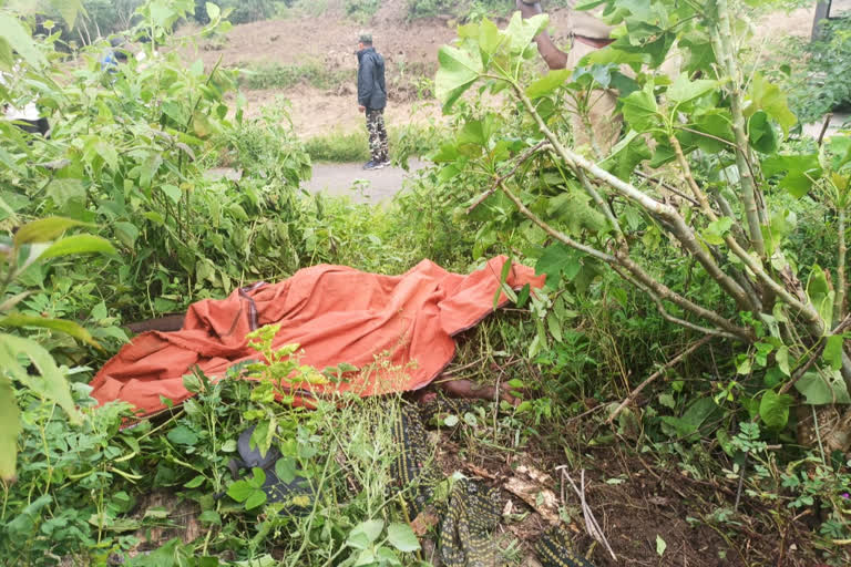 പാലക്കാട്  അട്ടപ്പാടി കോട്ടത്തറ  വയോധികൻ കാട്ടാനയുടെ ആക്രമണത്തിൽ കൊല്ലപ്പെട്ടു  വീട്ടിക്കുണ്ട്  OLD MAN KILLED  ELEPHANT ATTACK  OLD MAN KILLED ELEPHANT ATTACK  PALAKKADU