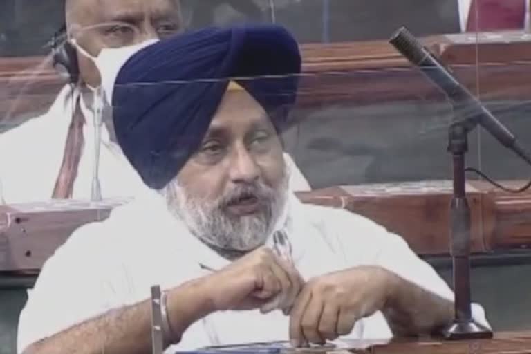 sukhbir badal raises issue of punjabi language in lok sabha