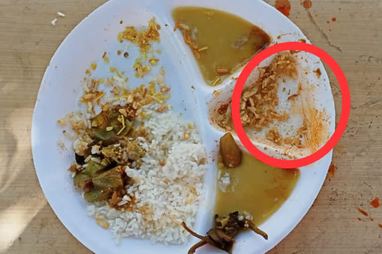 larvae found in meal at the covid care center in shegaon