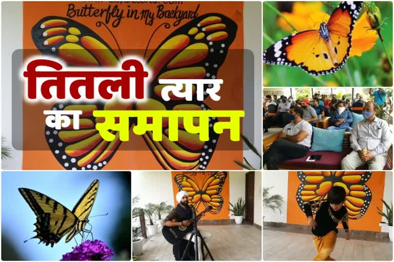 butterfly festival in ramnagar