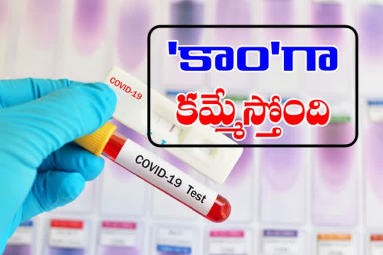 more than 70 percent corona patients in telangana are asymptomatic