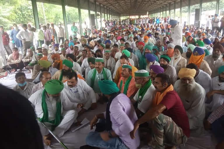 bhartiya kisan union protest in shahjahanpur