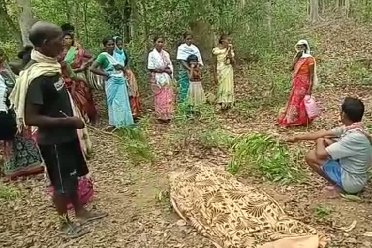 Woman died due to elephant attack in jashpur