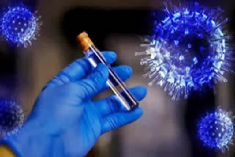 yamunanagar corona virus update