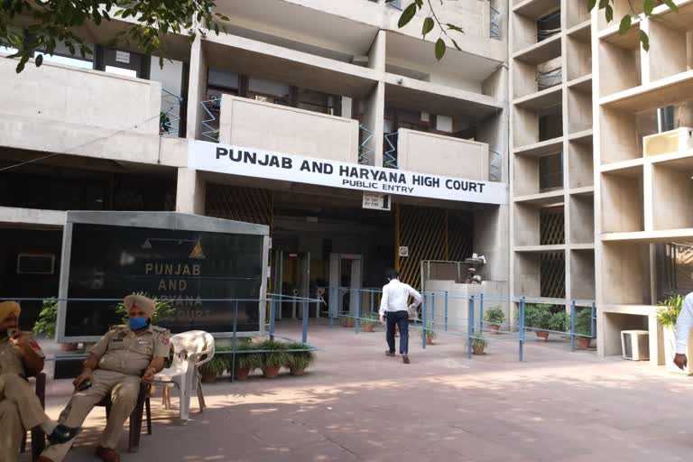 punjab haryana Bar Associations elections