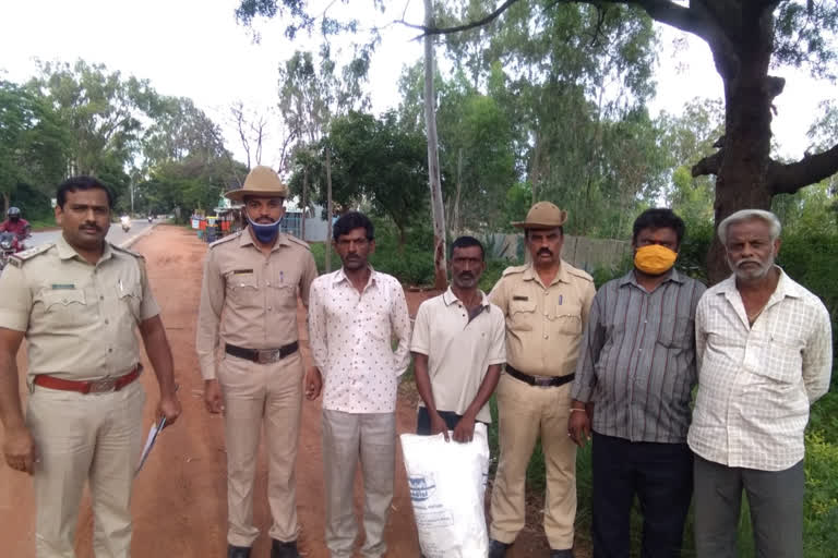 Marijuana case in vijaypur