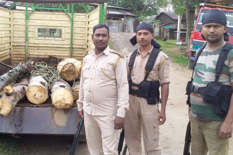 illegal agaru wood seized