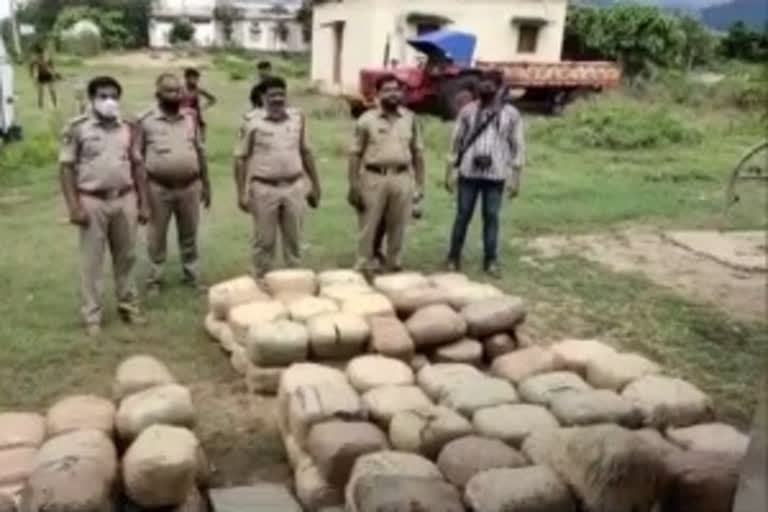Andhra Pradesh police seizes 675 kg of cannabis