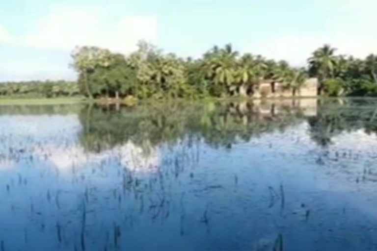 flood at koonaseema effect to paddy crop