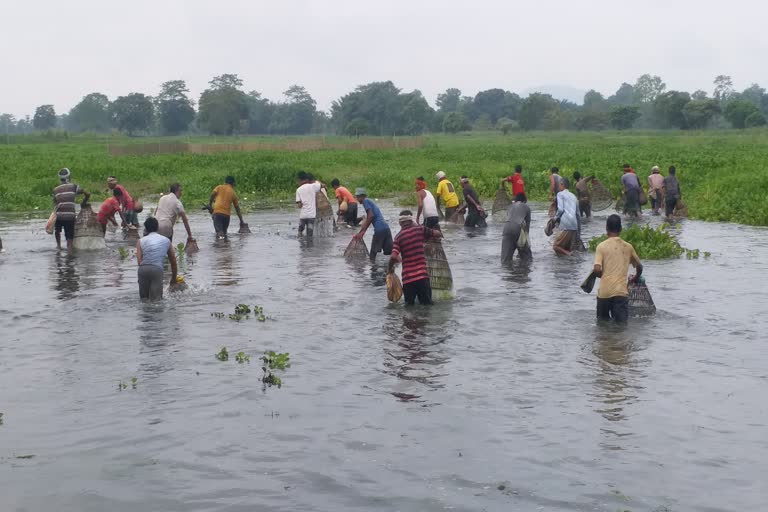 Community fishing morigaon assam etv bharat news