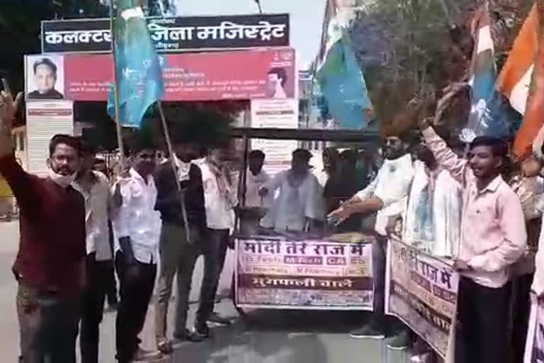 चित्तौड़गढ़ में बेरोजगारी दिवस, चित्तौड़गढ़ न्यूज, NSUI protests, Unemployment Day in Chittorgarh