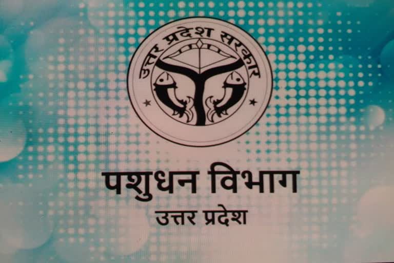 IPS अरविंद सेन सहित सात लोगों के खिलाफ दाखिल होगी सप्लीमेंट्री चार्जशीटIPS अरविंद सेन सहित सात लोगों के खिलाफ दाखिल होगी सप्लीमेंट्री चार्जशीट